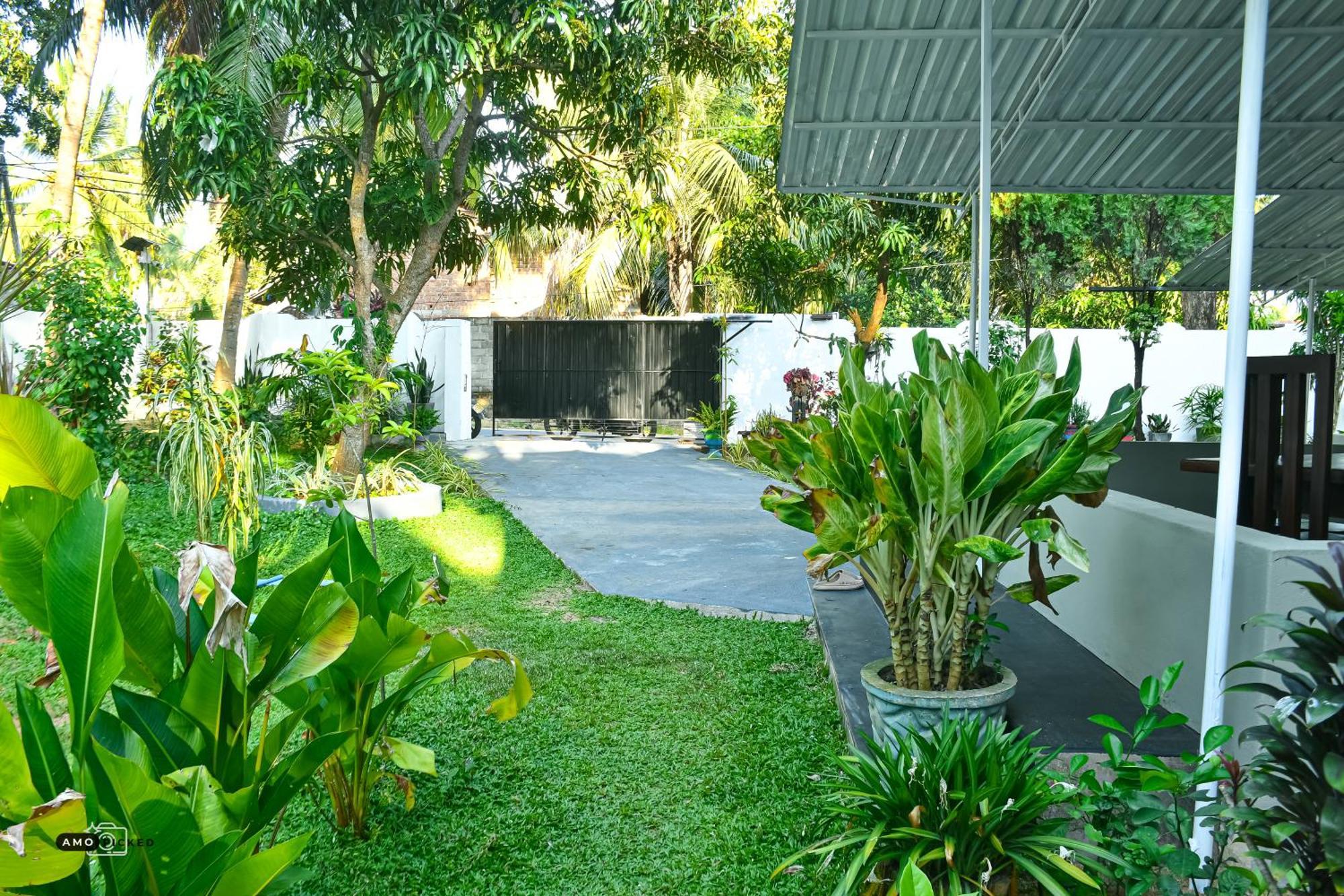 Coconut Villa Аругам Экстерьер фото